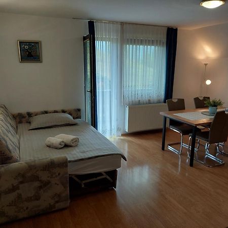בוהין Apartmaji Vesna מראה חיצוני תמונה